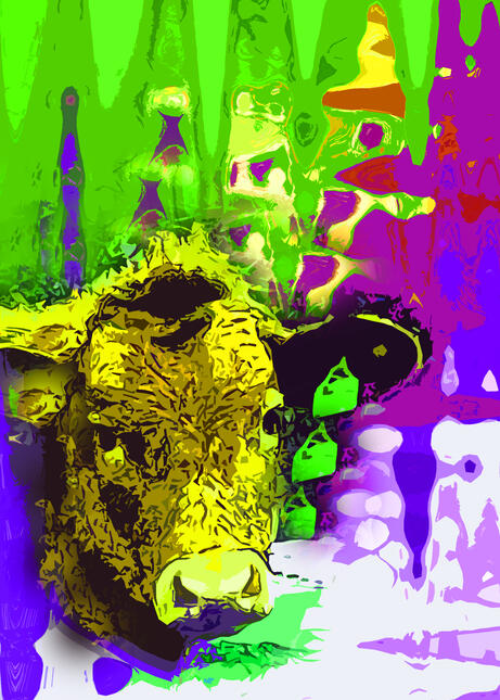 Schwein gehabt - Hallo Glück!