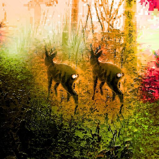 Ein Spaziergang im Wald - Nahrung für Seele und Geist