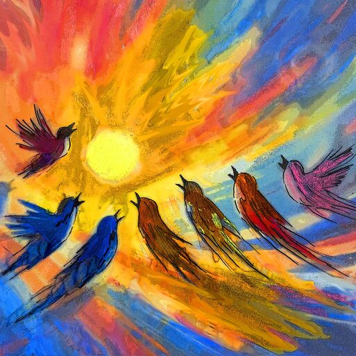 Der Konzertsaal des Morgens – Das grosse Zwitschern beginnt