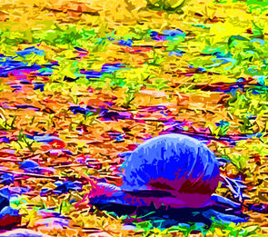 Eine Begegnung und ein Gespräch mit der Weinbergschnecke