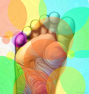 Die kleine Zehe: Ein kleiner Held mit grosser Bedeutung