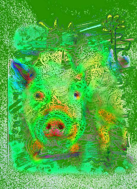 Schwein gehabt - Hallo Glück!