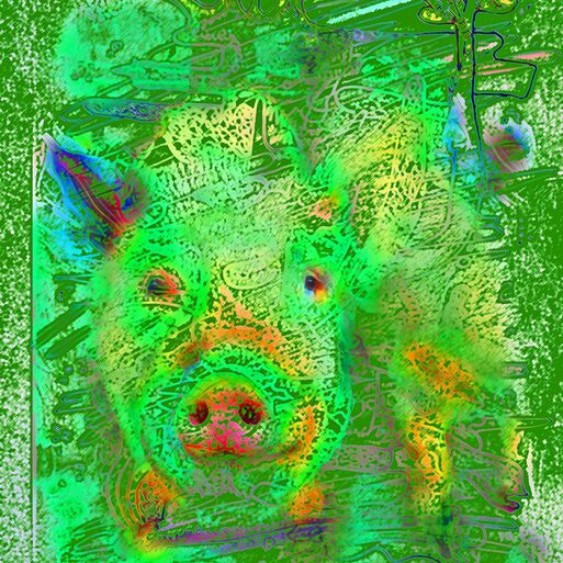 Schwein gehabt - Hallo Glück!